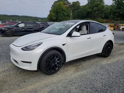 2021 TESLA MODEL Y, фото 1, лот 10993182