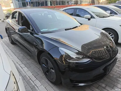 2022 Tesla Model 3 Model Rear-Wheel Drive Version, фото 4, лот 10369525