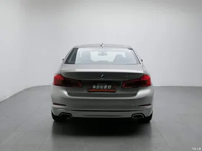 2019 BMW 5 Series Facelift 530Li Leading Luxury Package, фото 4, лот 10916959