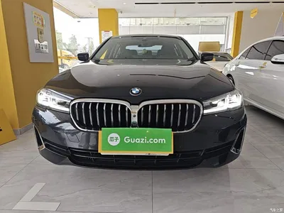 2021 BMW 5 Series 530Li Leading Luxury Package, фото 3, лот 10826755