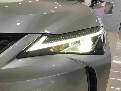 2020 Lexus UX 260h Explore Fun Edition China V, фото 4, лот 10816080