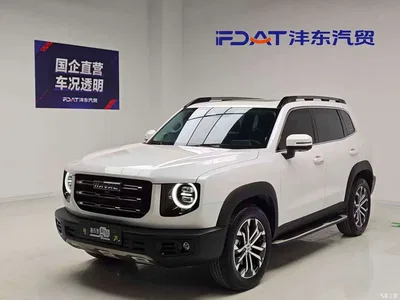 2021 Haval Big Dog 1.5T DCT 2WD Border Collie - Wangcai Edition, фото 1, лот 10361801