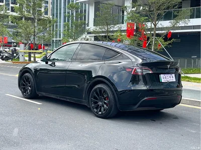 2022 Tesla Model Y Rear-Wheel Drive Version, фото 4, лот 11215962