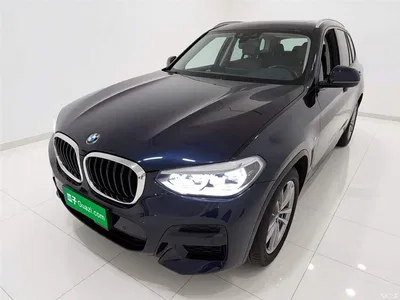 2019 BMW X3 xDrive25i M Sport Package, фото 1, лот 10462176