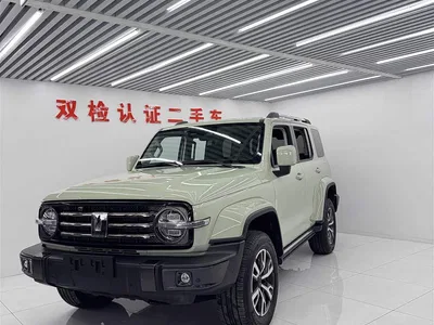 2021 Tank 300 Urban Edition 2.0T Stylish, фото 1, лот 11224685