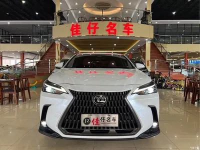 2023 Lexus NX 350h FWD Joy Creation Edition, фото 2, лот 10314365