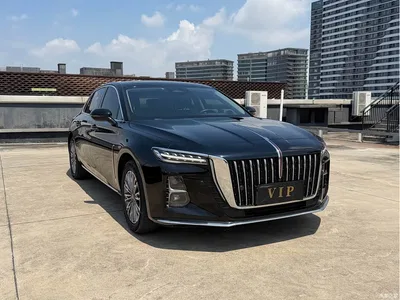 2023 Hongqi H5 2.0T Auto Smart Connect Flag Comfort, фото 3, лот 10287404