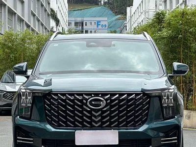 2022 GAC Trumpchi Trumpchi GS8 Pilot Series 2.0TGDI 2WD Premium Edition (6-Seater), фото 2, лот 10417855