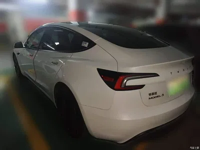2025 Tesla Model 3 Model Rear-Wheel Drive Edition, фото 4, лот 10441044