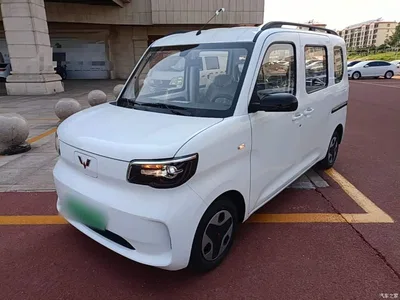 2025 Wuling Motors Wuling Zhiguang NEV Model 305km Base Version, фото 1, лот 10836014