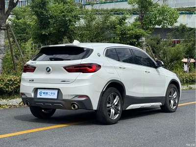 2021 BMW X2 sDrive25i Leading M Sport Package, фото 4, лот 10475464