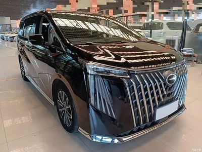 2024 GAC Trumpchi Trumpchi M8 Master Series 400T Ultimate Edition, фото 4, лот 11191085
