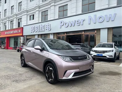 2021 BYD Dolphin Model 405km Fashion Edition, фото 3, лот 10837005