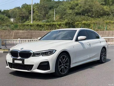 2020 BMW 3 Series 320Li M Sport Package, фото 1, лот 11188726