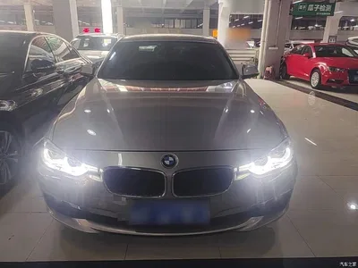 2017 BMW 3 Series 320Li Fashion, фото 3, лот 11199712