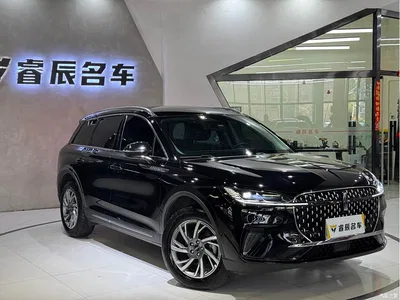 2023 Lincoln Adventurer 2.0T 2WD Zunxiang Edition, фото 1, лот 10357699