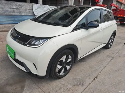 2024 BYD Dolphin Glory Edition 420km Fashion Edition, фото 1, лот 10263982
