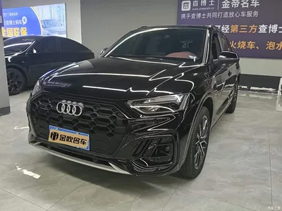 2025 Audi Q5L 45th Anniversary Edition 45 TFSI Luxury Sport, фото 1, лот 11178412