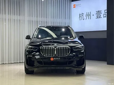 2021 BMW X5 (Import) xDrive30i M Sport Package, фото 2, лот 11568474