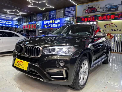 2017 BMW X6 xDrive28i, фото 1, лот 10469235