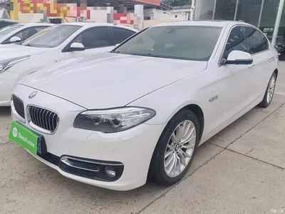 2017 BMW 5 Series 525Li Luxury Design Package, фото 1, лот 11134374