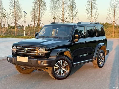 2023 Tank 300 Urban Edition 2.0T Very Stylish, фото 1, лот 11549220