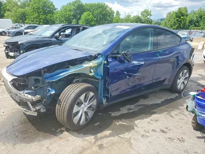 2023 TESLA MODEL Y, фото 1, лот 10852207