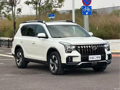 2020 GAC Trumpchi Trumpchi GS8 Model 390T FWD Luxury Smart Connect (7-seater), фото 4, лот 11204327