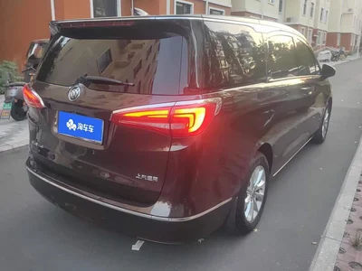2017 Buick GL8 ES 28T Comfort Type China V, фото 3, лот 10448210