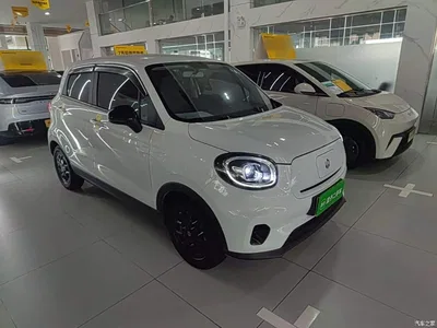 2023 Leapmotor T03 310 Light Edition, фото 4, лот 11138338