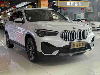 2021 BMW X1 sDrive25Li Leading, фото 3, лот 10408809