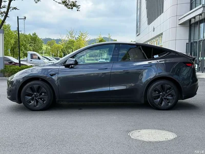 2024 Tesla Model Y Rear-Wheel Drive Version, фото 4, лот 10450238