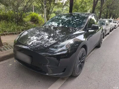2023 Tesla Model Y Rear-Wheel Drive Edition, фото 1, лот 10369985