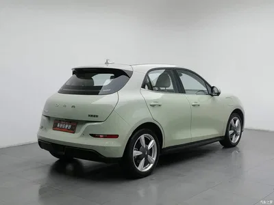2023 Ora Good Cat 401km Standard Range Luxury LFP, фото 2, лот 10330406