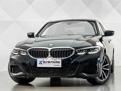 2020 BMW 3 Series 320Li M Sport Package, фото 3, лот 10899557