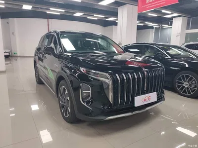 2024 Hongqi HS7 PHEV 2.0T PHEV 4WD Flagship Edition 6-seater, фото 3, лот 10287860