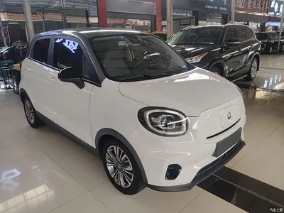 2021 Leapmotor T03 400 Luxury Edition, фото 4, лот 10441619