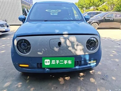 2021 Ora Black Cat 301km Basic Model, фото 3, лот 11545732