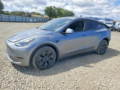 2024 TESLA MODEL Y, фото 1, лот 10853672