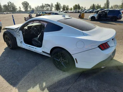 2024 FORD MUSTANG, фото 2, лот 10545375