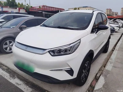 2021 BYD Yuan Pro Lifetime Love Edition, фото 1, лот 11175129