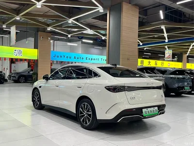 2025 BYD Seal 06 New Energy DM-i Smart Drive Edition 120KM Luxury, фото 4, лот 10273895