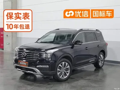 2017 GAC Trumpchi Trumpchi GS8 320T AWD Luxury Smart Connect (7-Seater), фото 1, лот 10306389