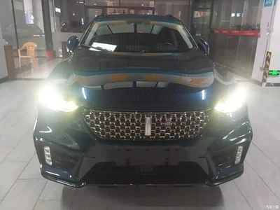 2020 WEY VV7 2.0T Super Luxury, фото 3, лот 10452306
