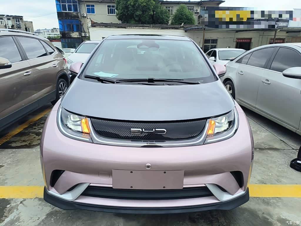 2021 BYD Dolphin 401km Knight Edition, фото 3, лот 11215759