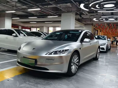 2025 Tesla Model 3 Model Rear-Wheel Drive Edition, фото 1, лот 10361603