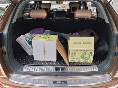 2016 Kia KX5 Model 1.6T Automatic 2WD DLX, фото 4, лот 10335332