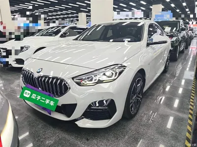 2021 BMW 2 Series (Import) 225i 4-Door Gran Coupe M Sport Package, фото 1, лот 10471599
