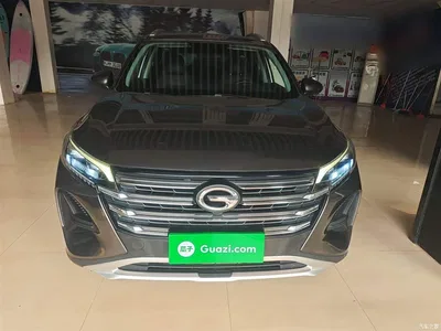 2020 GAC Trumpchi Trumpchi GS4 270T Auto Luxury Smart Connect Edition, фото 3, лот 10426190