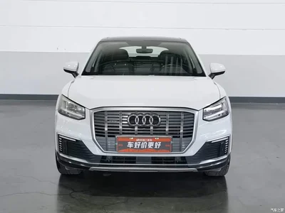 2019 Audi Q2L e-tron Pure Electric Smart Enjoyment, фото 3, лот 10399579